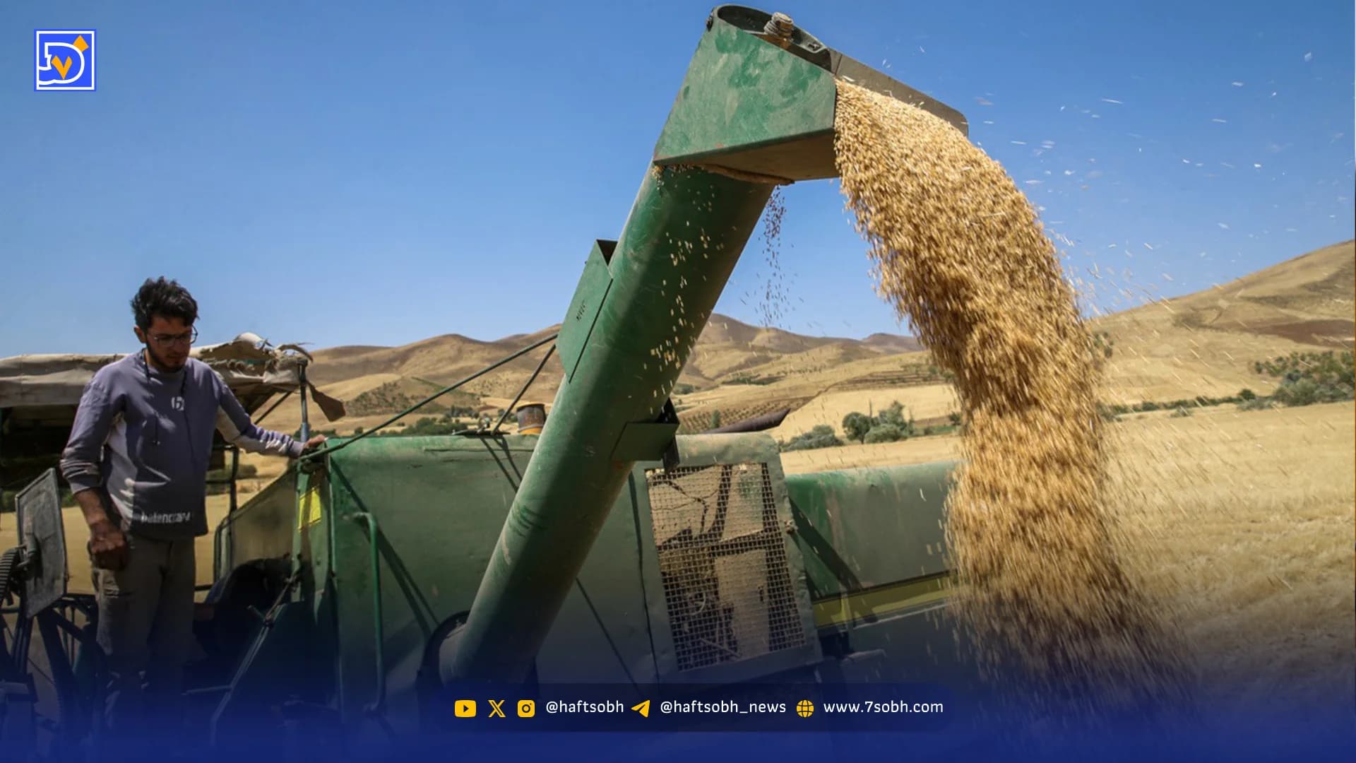 از خوشههای طلایی تا حسابهای خالی