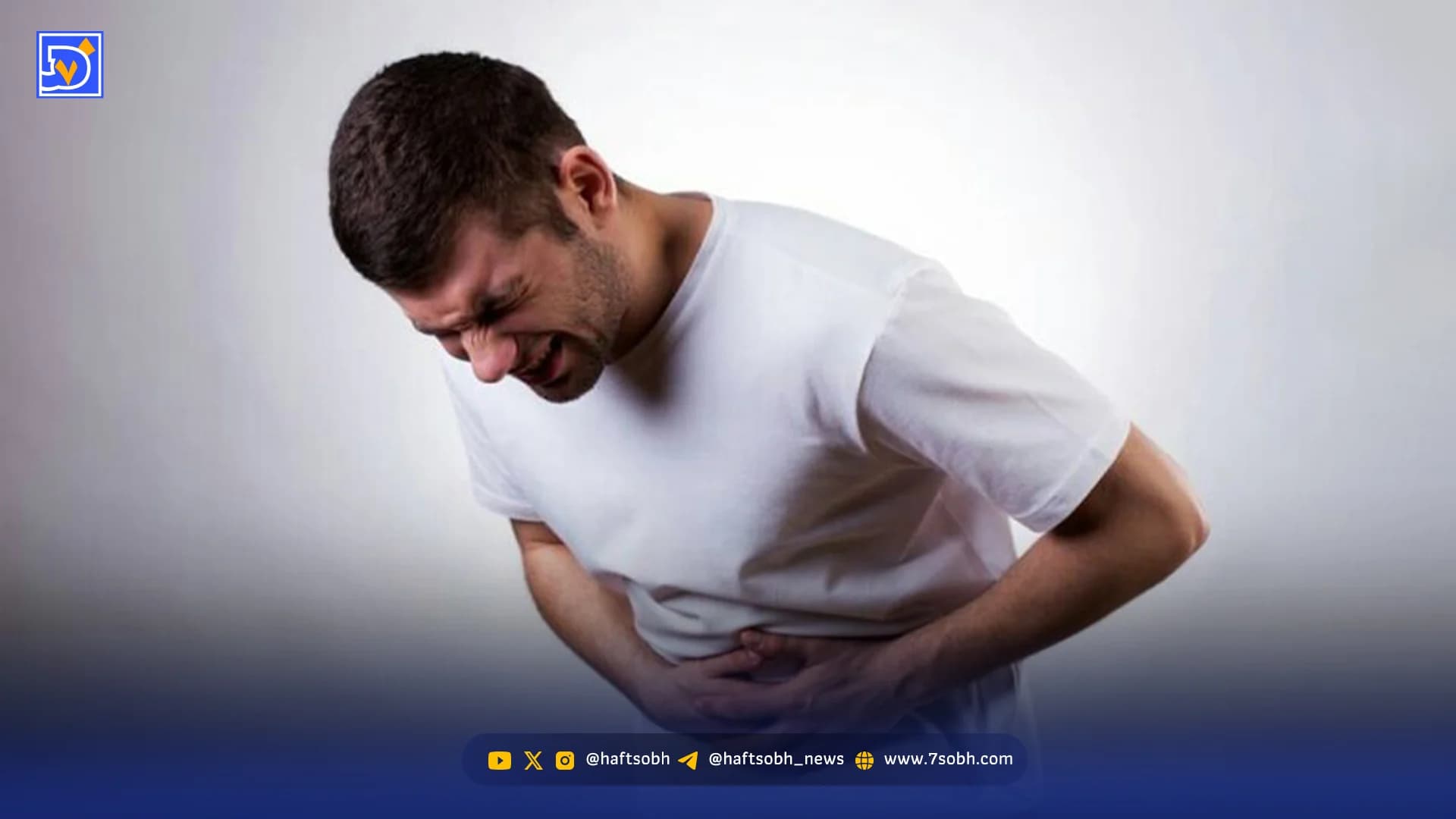تابستان؛ فصل شورش باکتریها در بشقابها