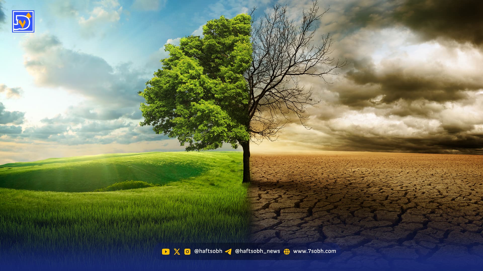 گرمایش هوا چگونه نظم زیستی را میشکند؟